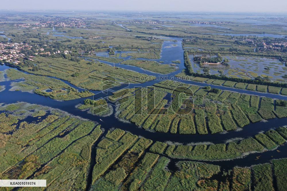 CHINA-HEBEI-BAIYANGDIAN-ECOLOGICAL ENVIRONMENT-BIRDS (CN)