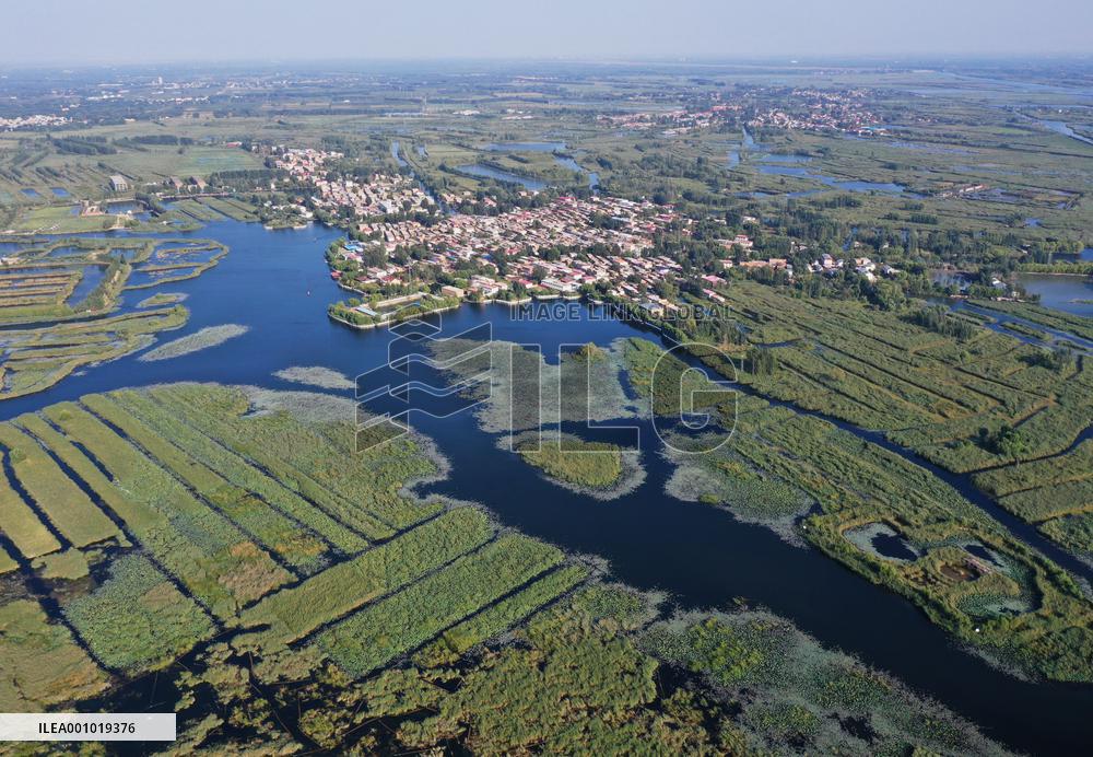 CHINA-HEBEI-BAIYANGDIAN-ECOLOGICAL ENVIRONMENT-BIRDS (CN)