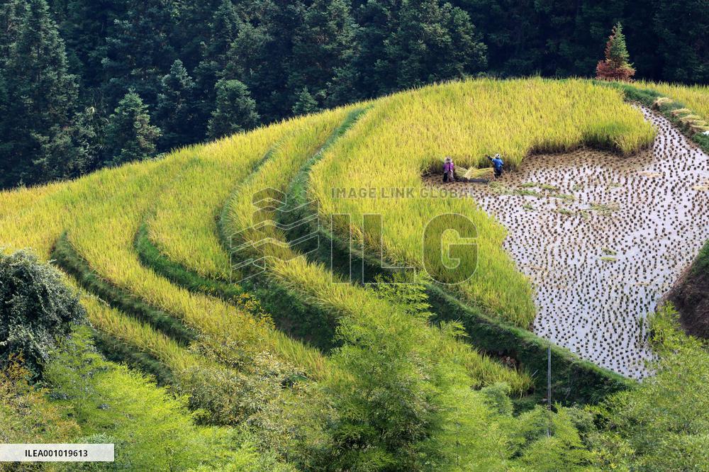 #CHINA-CHINESE FARMERS' HARVEST FESTIVAL-AUTUMN EQUINOX (CN)