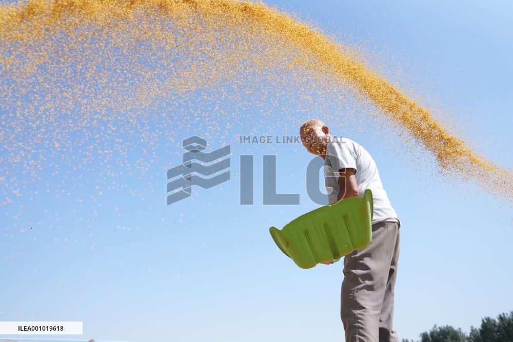 #CHINA-CHINESE FARMERS' HARVEST FESTIVAL-AUTUMN EQUINOX (CN)