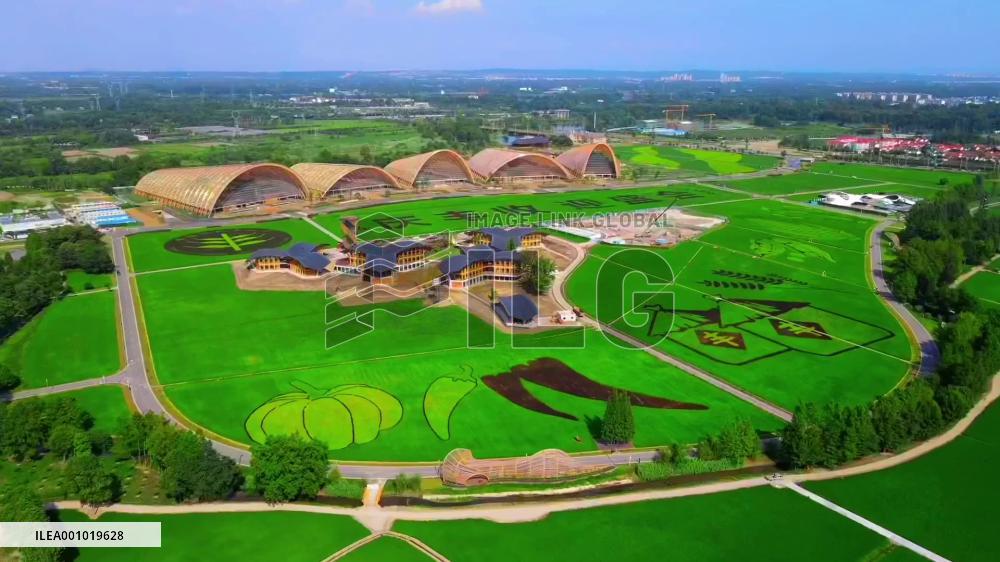 China celebrates farmers' harvest festival