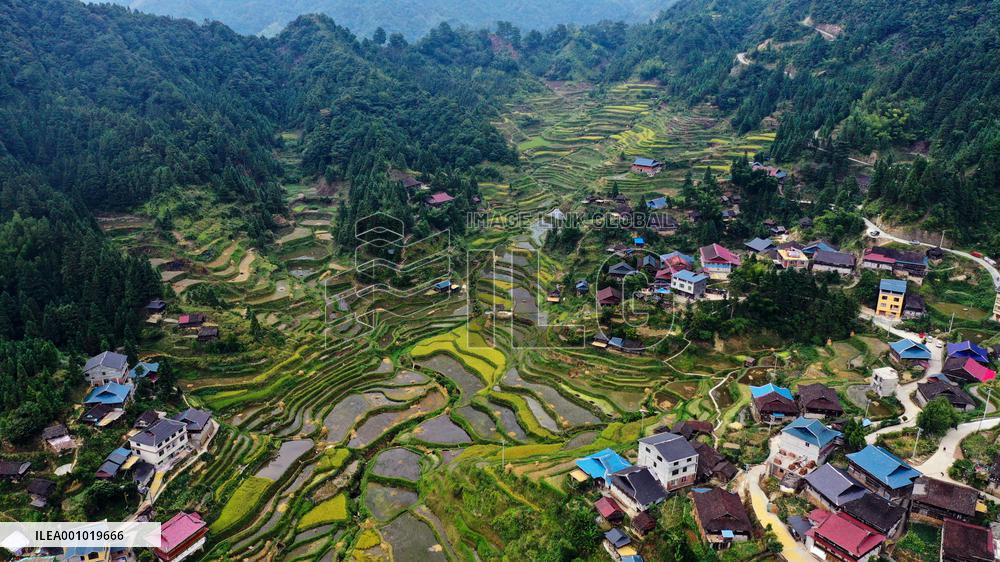 CHINA-GUANGXI-RONGSHUI-TERRACED FIELDS-SCENERY (CN)