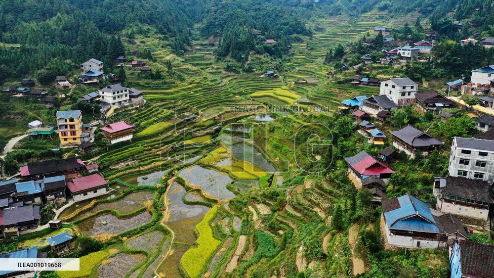 CHINA-GUANGXI-RONGSHUI-TERRACED FIELDS-SCENERY (CN)