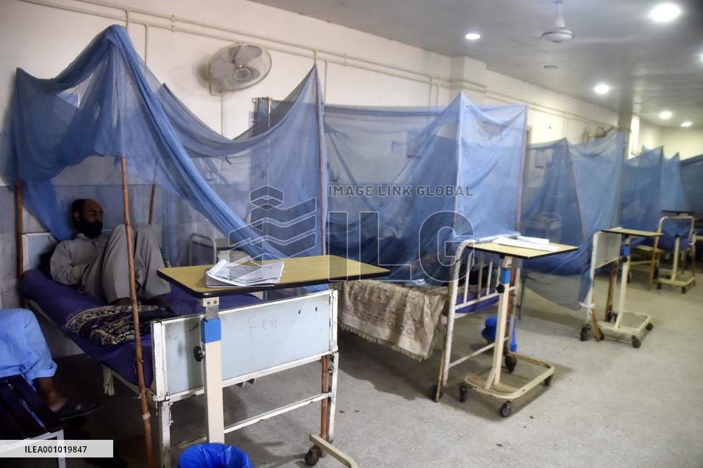 PAKISTAN-PESHAWAR-DENGUE