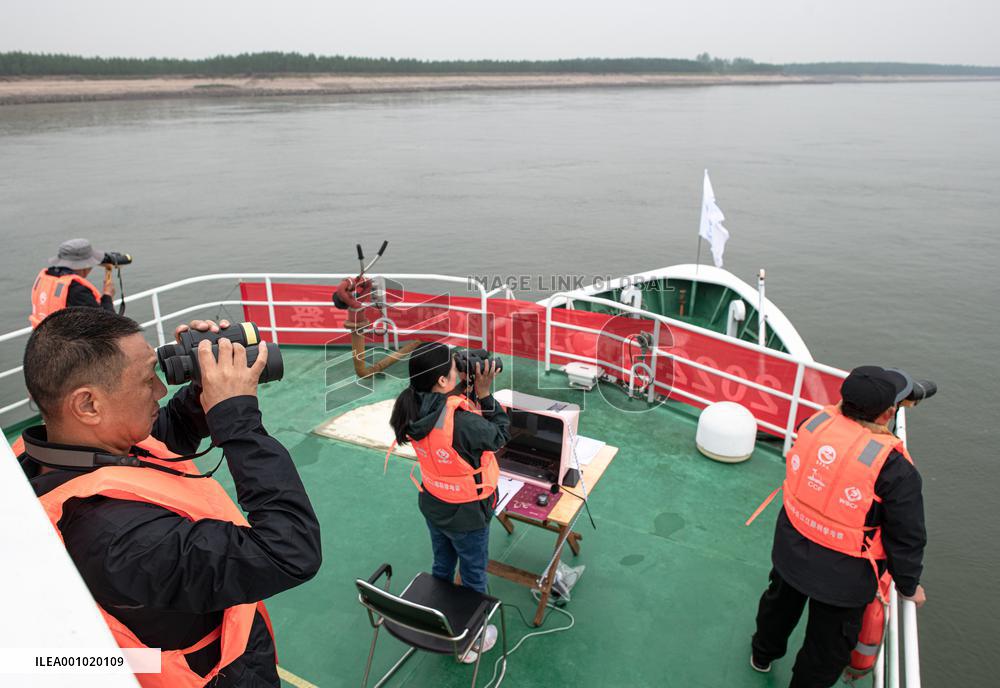 CHINA-HUBEI-FINLESS PORPOISES-SCIENTIFIC EXPEDITION (CN)