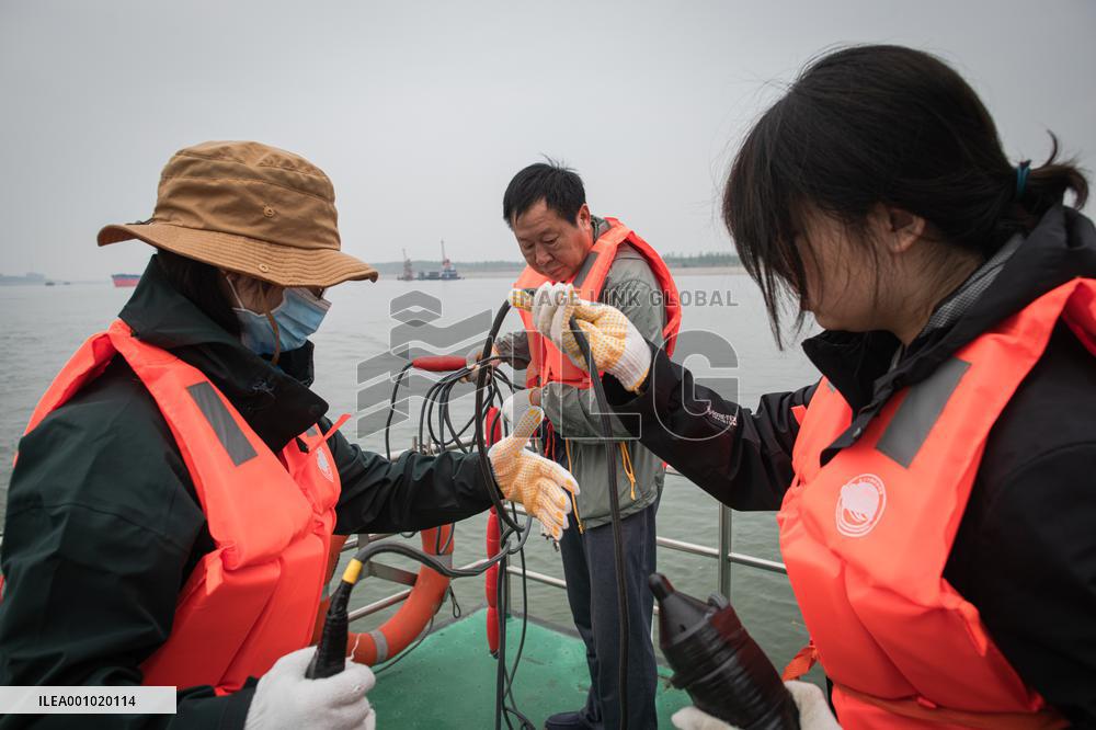 CHINA-HUBEI-FINLESS PORPOISES-SCIENTIFIC EXPEDITION (CN)
