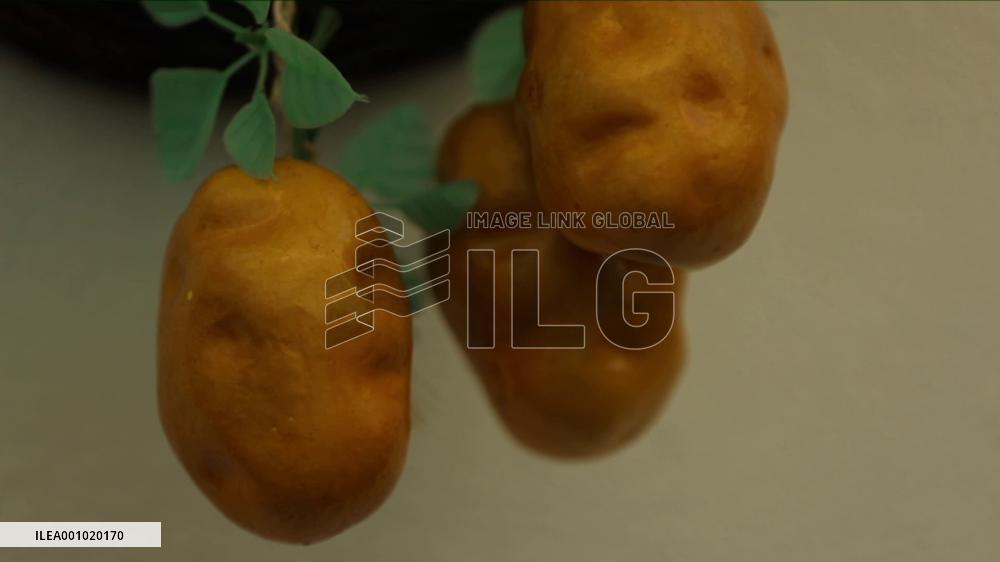 Vlog: Get a glimpse of potato banquet in north China