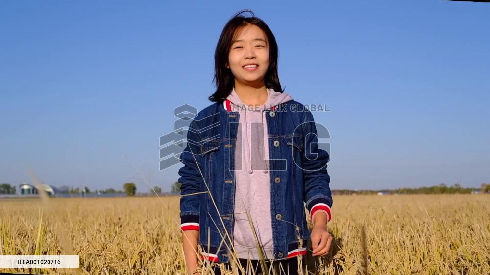 Intelligent technologies aid rice production, harvest in NE China