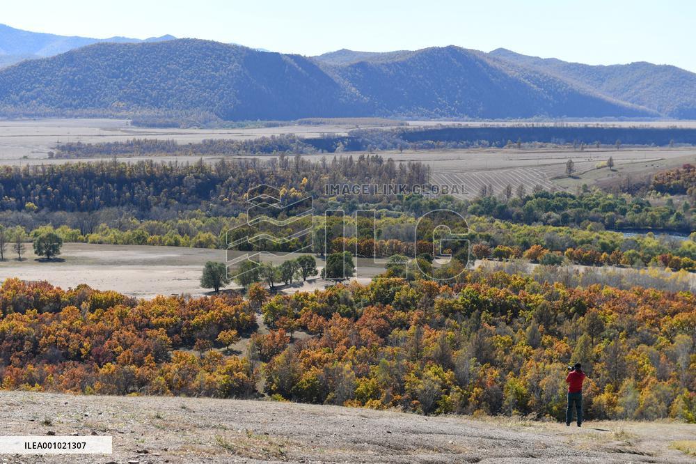 CHINA-INNER MONGOLIA-CHAIHE TOWN-AUTUMN SCENERY (CN)