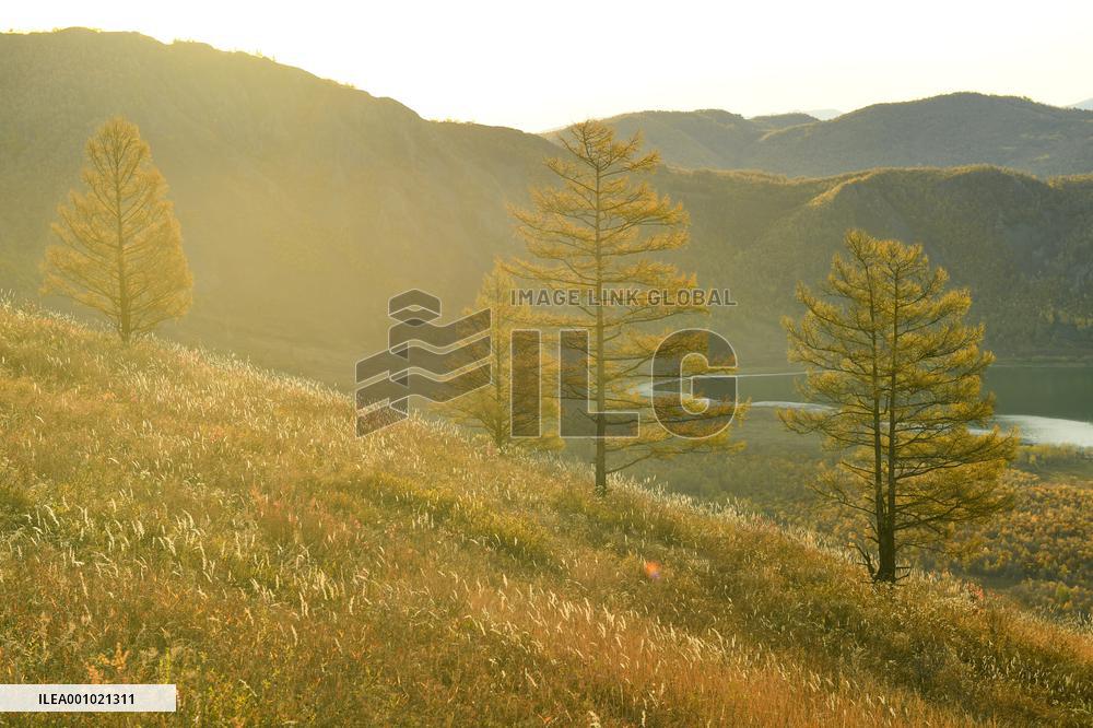 CHINA-INNER MONGOLIA-CHAIHE TOWN-AUTUMN SCENERY (CN)