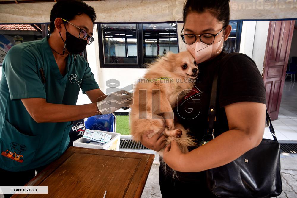 INDONESIA-WORLD RABIES DAY-VACCINATION