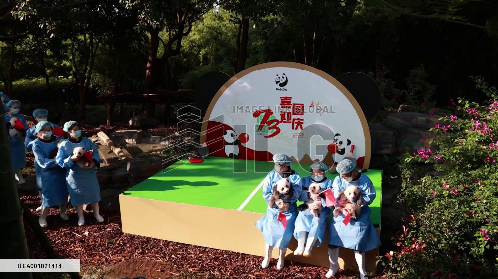 13 panda cubs meet public at SW China breeding base