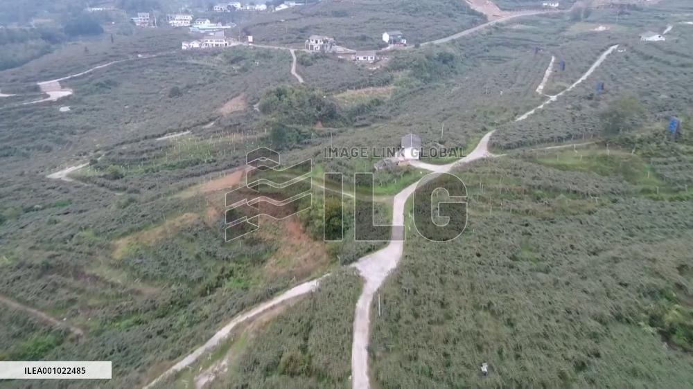 E-commerce helps expand markets for agricultural products in SW China's Guizhou