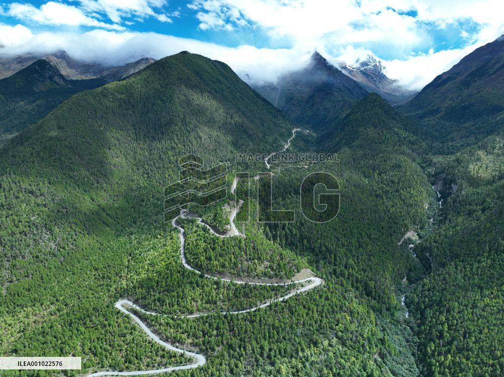 CHINA-TIBET-PAD-MEDOG HIGHWAY-CONSTRUCTION (CN)