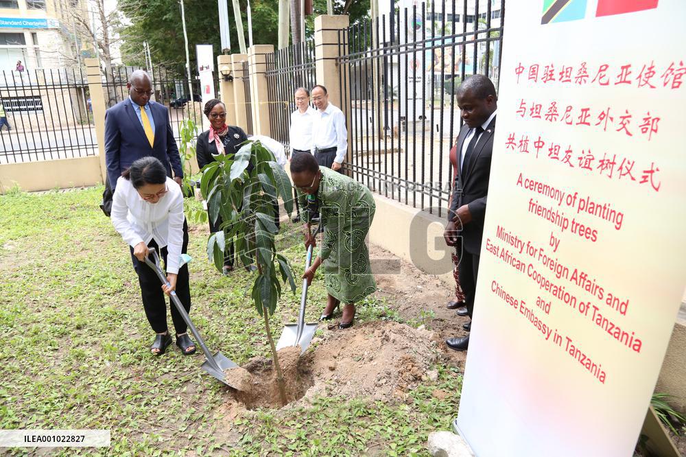 TANZANIA-DAR ES SALAAM-CHINA-FRIENDSHIP TREE