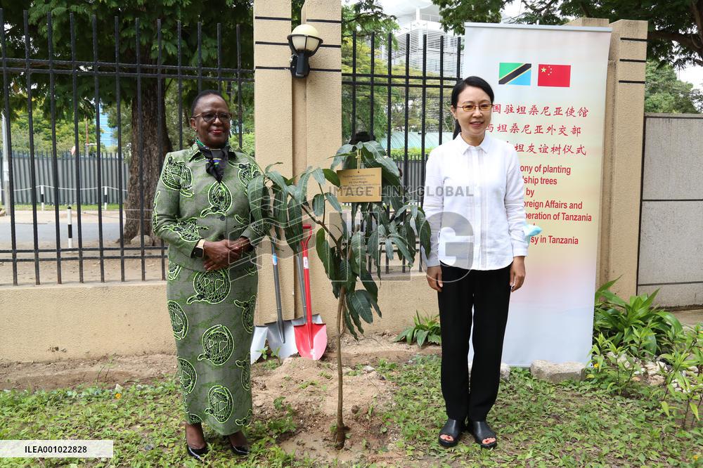 TANZANIA-DAR ES SALAAM-CHINA-FRIENDSHIP TREE