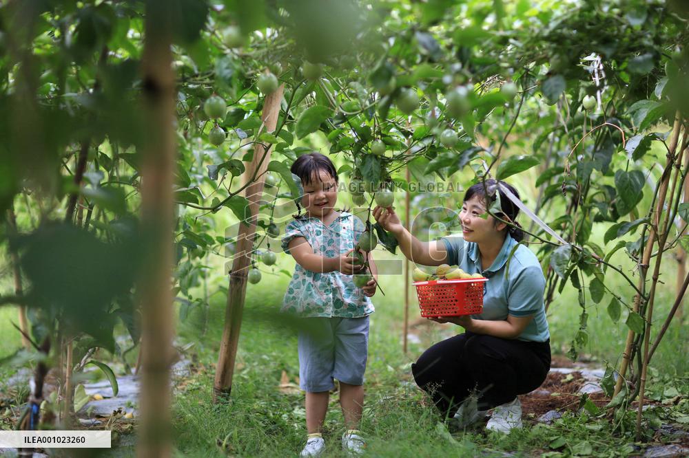 #CHINA-AUTUMN-HARVEST (CN)