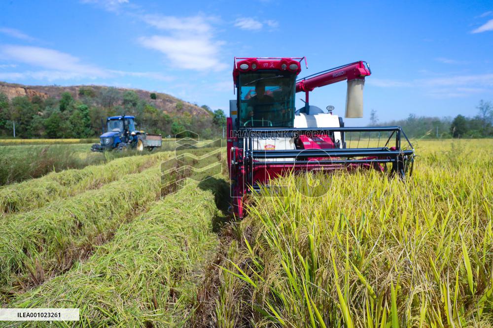 #CHINA-AUTUMN-HARVEST (CN)