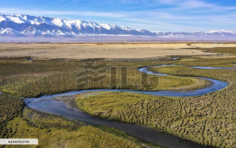 CHINA-AUTUMN-SCENERY (CN)