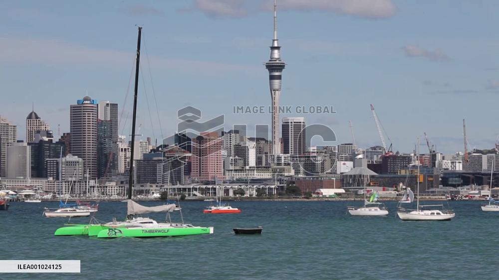 New Zealand hikes cash rate by 0.5 percent