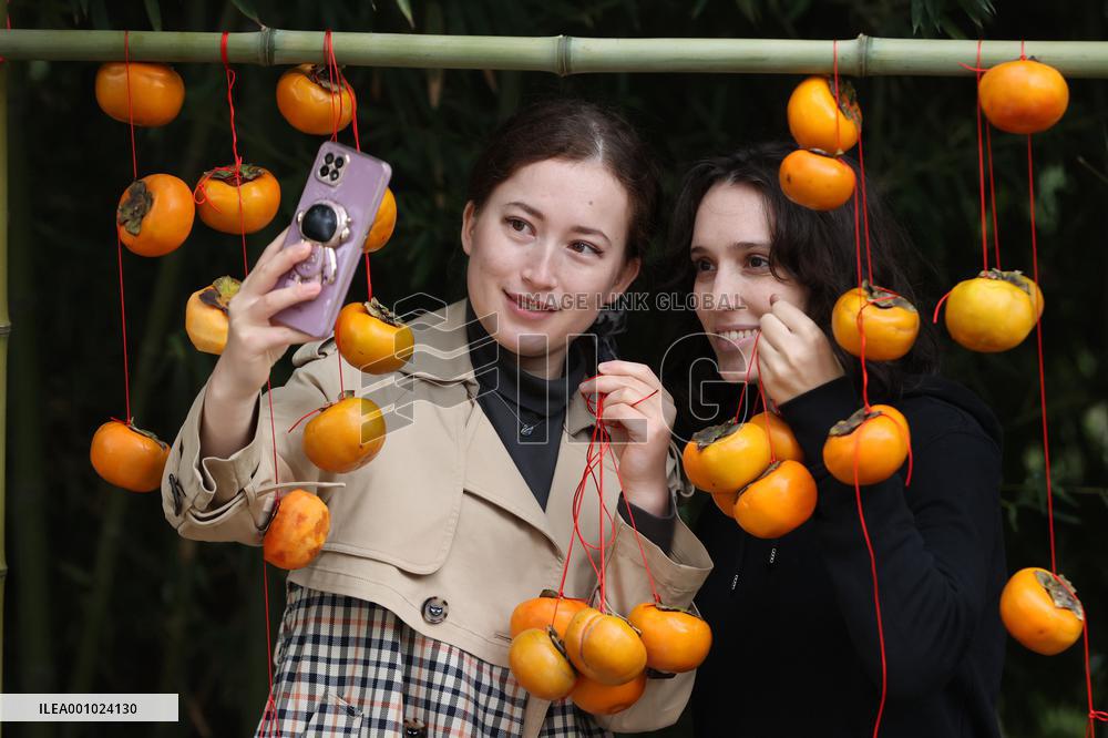 CHINA-AUTUMN-HARVEST (CN)