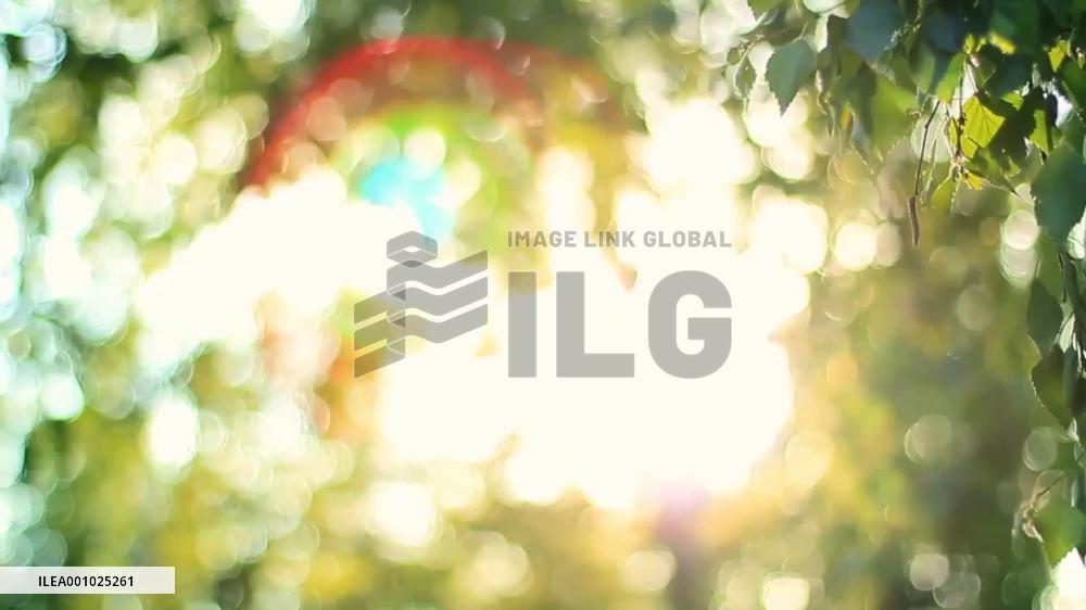 A Chinese teacher wins hearts of students with innovative lessons