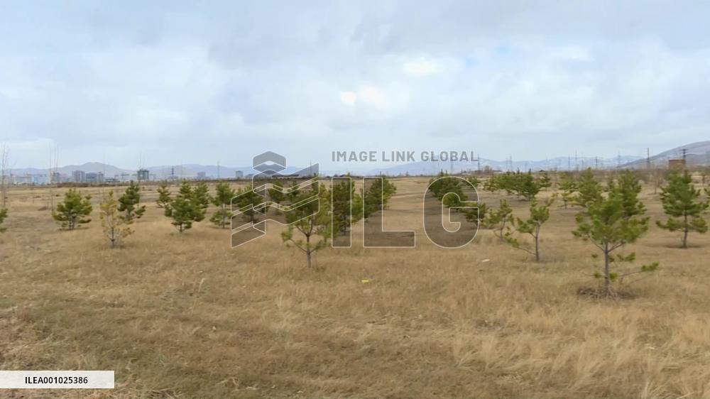 Mongolia marks National Tree Planting Day