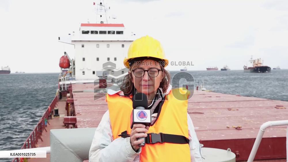 Joint inspection teams work in concord to speed up grain export from Ukraine