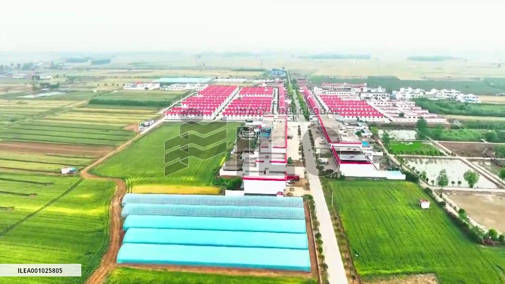 Relocated village in central China sees promising future in rural revitalization