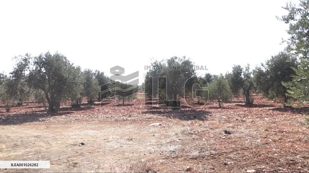 Climate change further batters agricultural sector in Syria