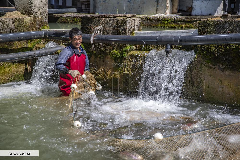 CHINA-CHONGQING-CHENGKOU-FISH FARMING (CN)