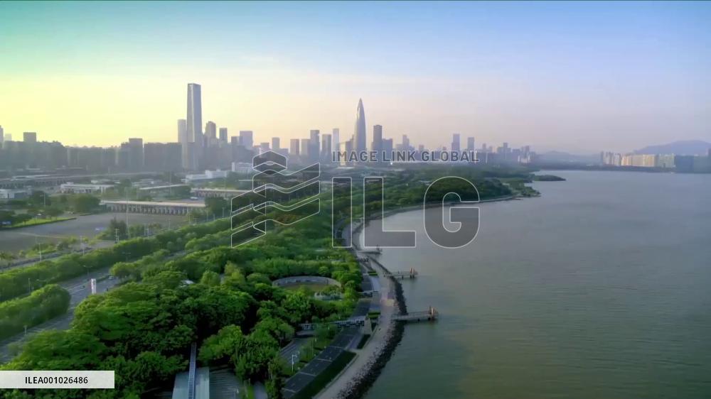 CPC leads China to achieve great achievements: Cambodian academic