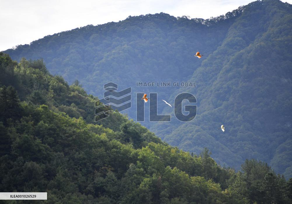 CHINA-SHAANXI-NINGSHAN COUNTY-GREEN DEVELOPMENT (CN)