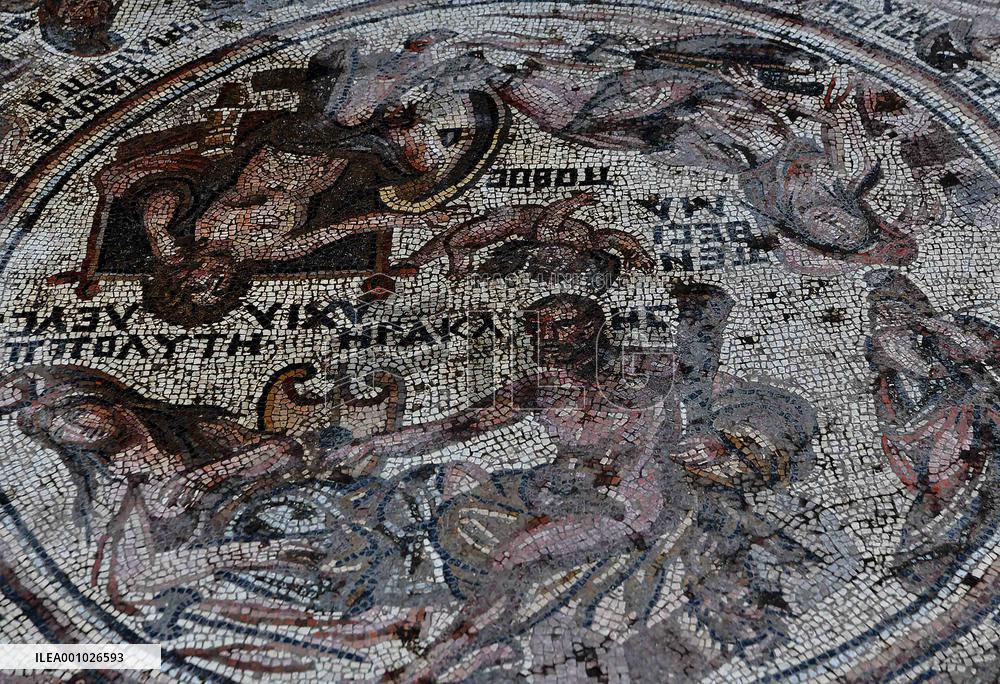 SYRIA-HOMS-AL-RASTAN-ROMAN MOSAIC PANEL-DISCOVERY