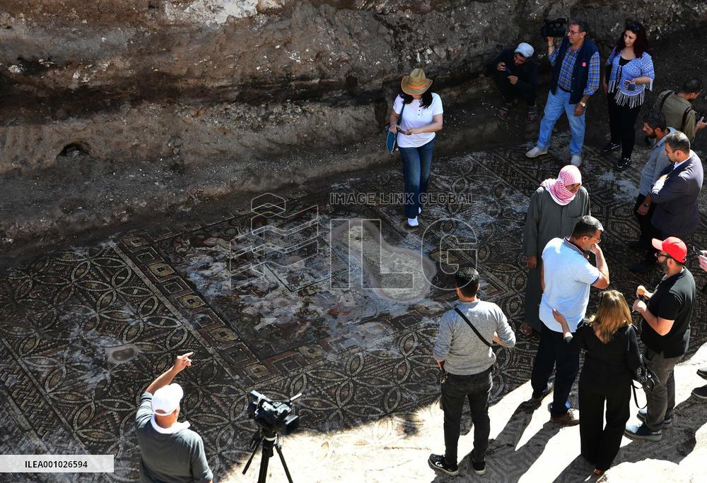SYRIA-HOMS-AL-RASTAN-ROMAN MOSAIC PANEL-DISCOVERY