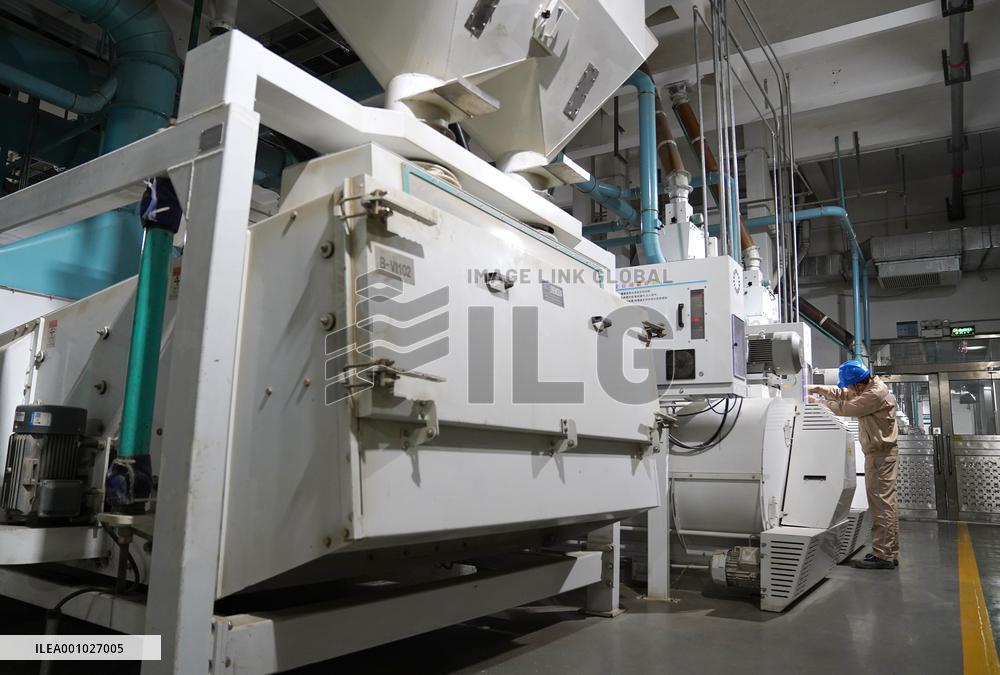 CHINA-JIANGXI-NANCHANG-RICE-PLANTING-PROCESSING (CN)