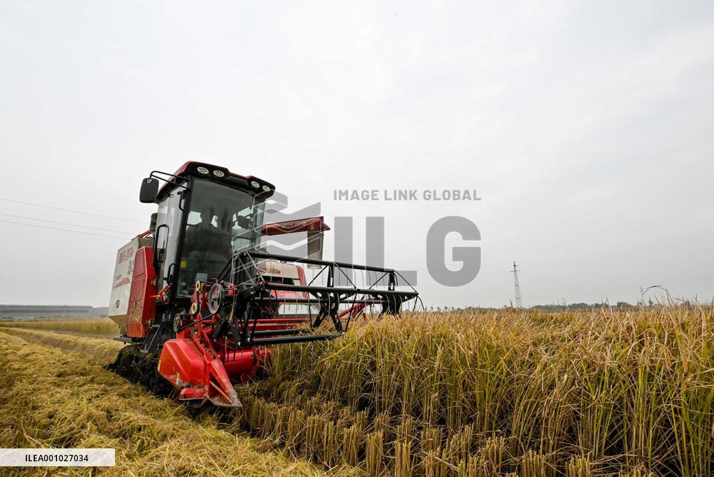 CHINA-TIANJIN-XIAOZHAN RICE HARVEST (CN)