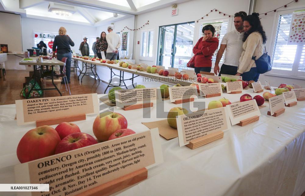 CANADA-VANCOUVER-UBC-APPLE FESTIVAL