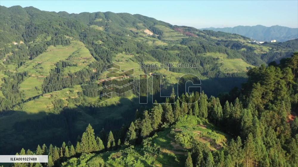 Carbon sink trading helps increase villagers' income in China's Guizhou