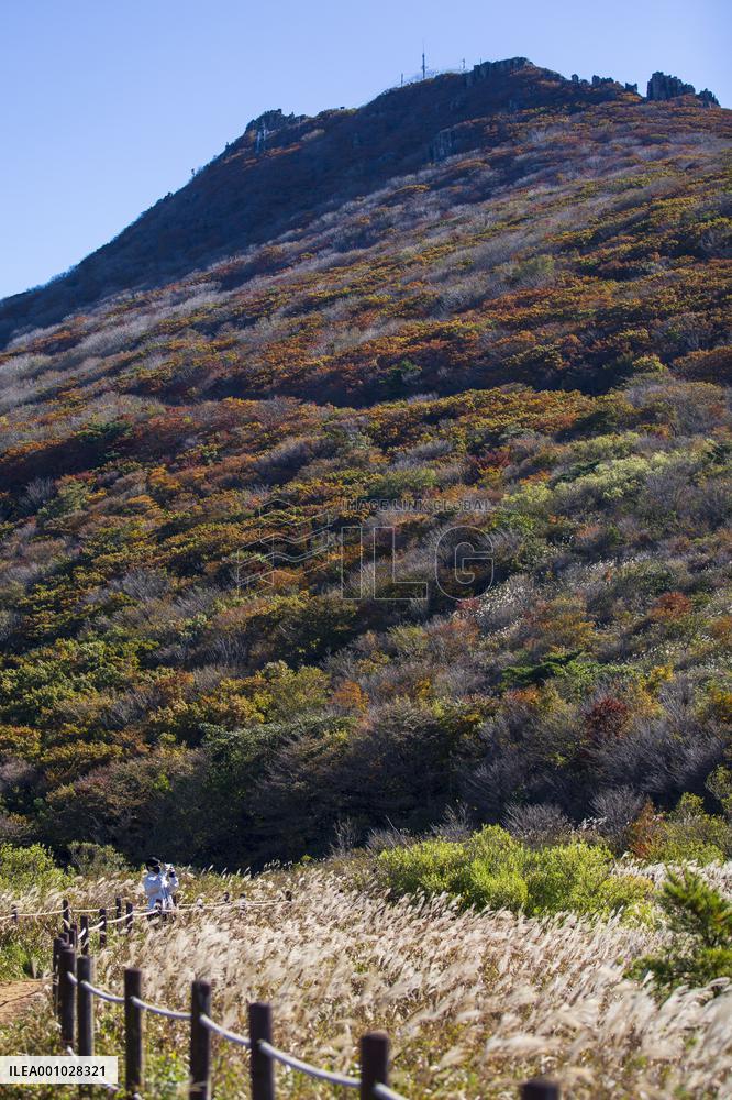 SOUTH KOREA-GWANGJU-AUTUMN SCENERY