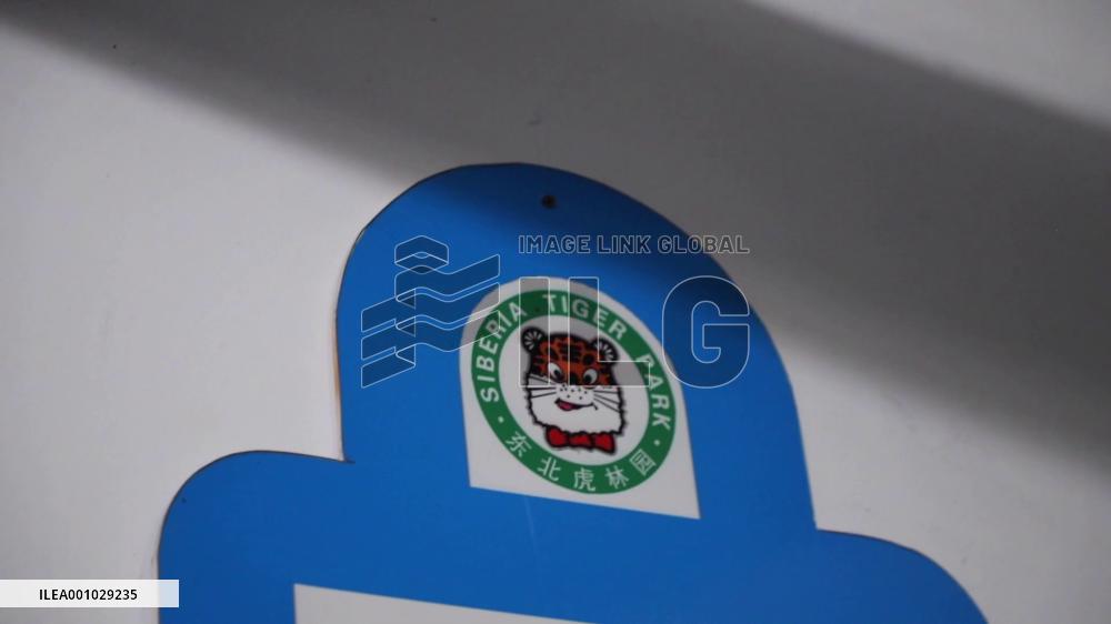 Rehabilitation reserve helps endangered tigers return to wild