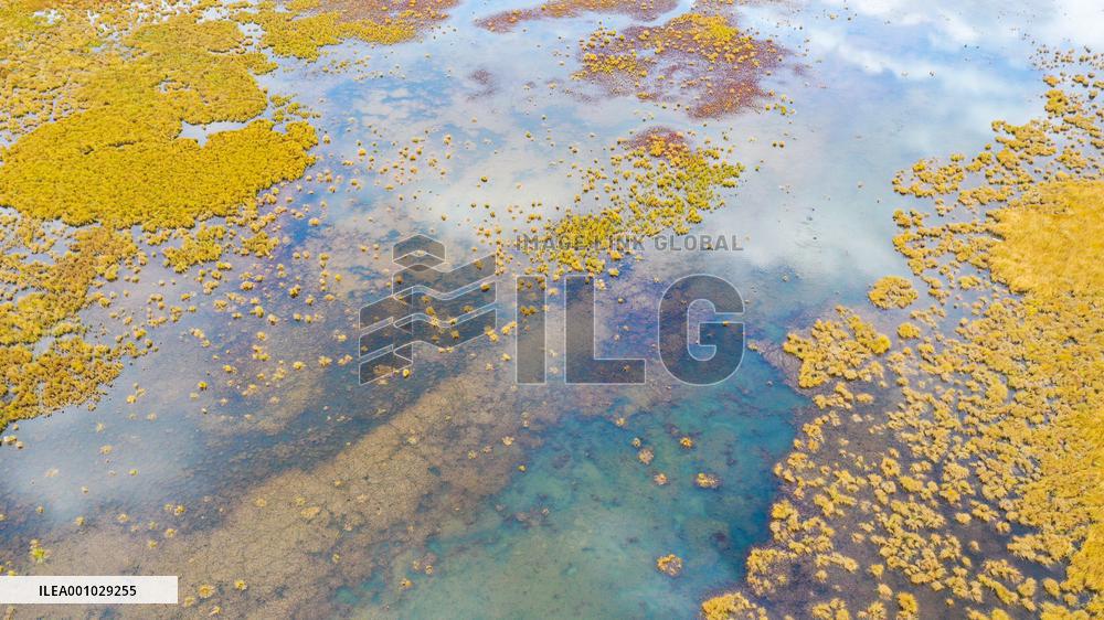 CHINA-SICHUAN-YELLOW RIVER-WETLANDS (CN)