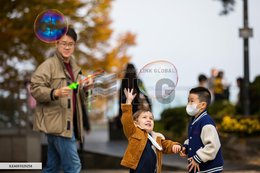 SOUTH KOREA-SEOUL-AUTUMN SCENERY