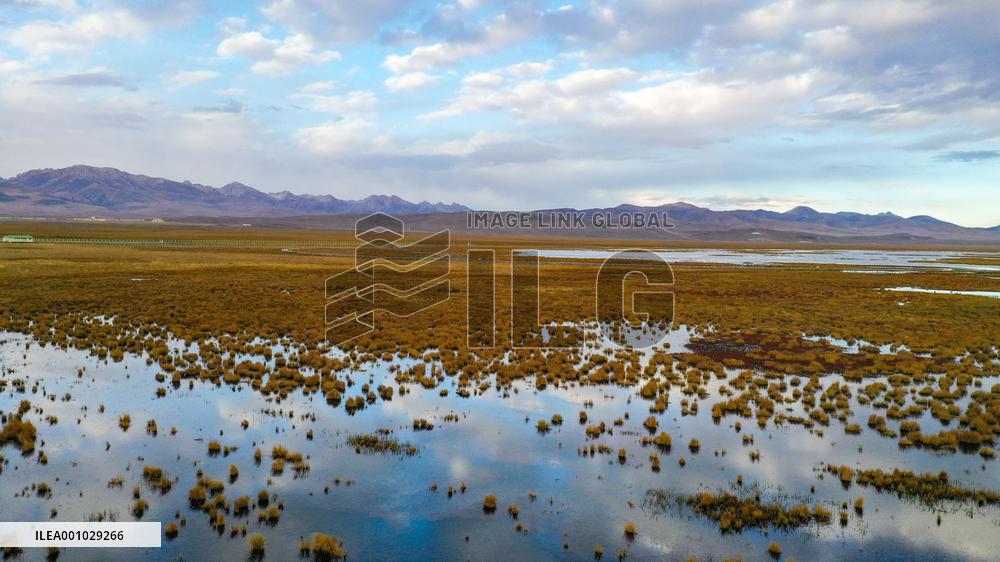 CHINA-SICHUAN-YELLOW RIVER-WETLANDS (CN)