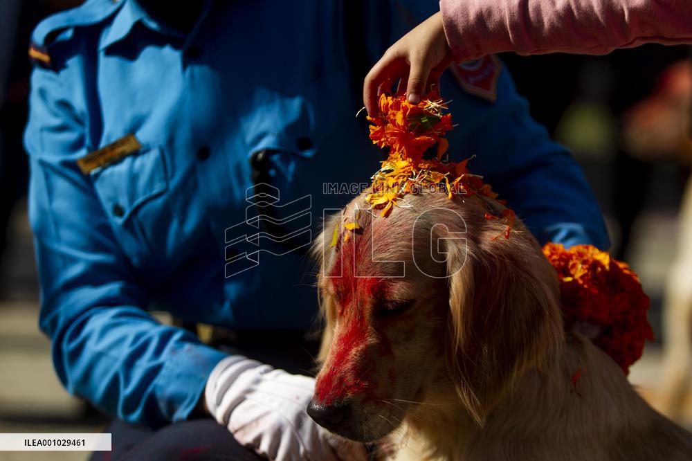 NEPAL-KATHMANDU-TIHAR-DOG WORSHIP