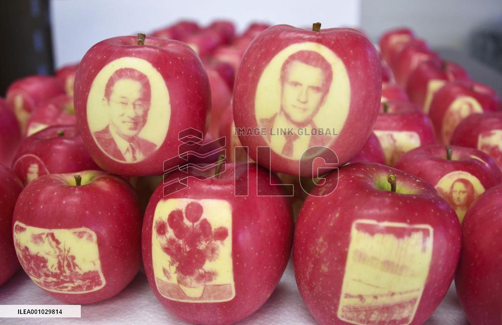 Decorated apples in northeastern Japan