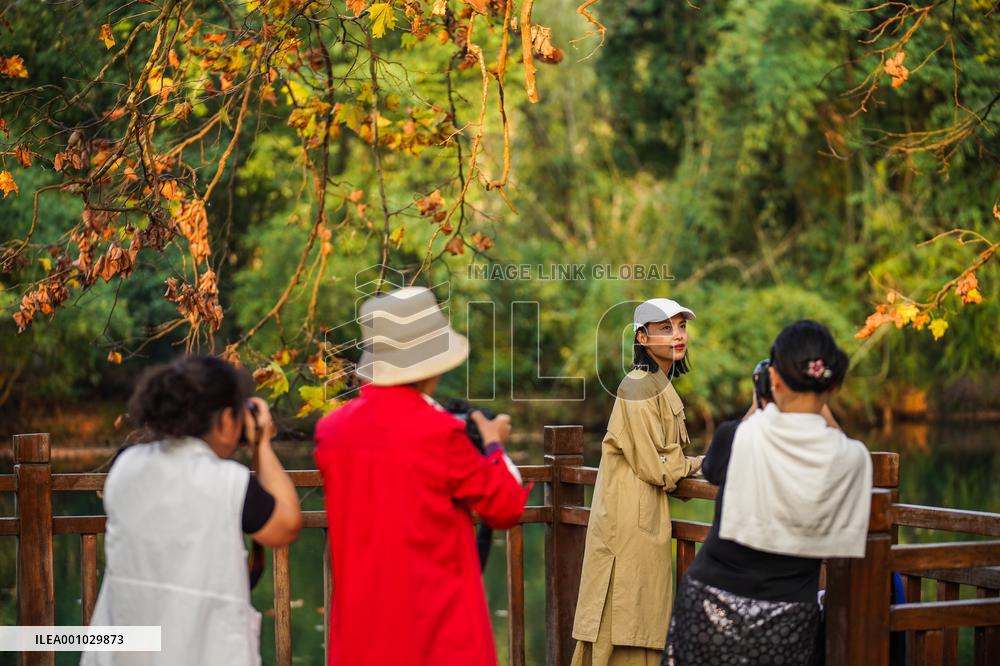 CHINA-GUIZHOU-GUIYANG-WETLAND PARK-AUTUMN SCENERY (CN)