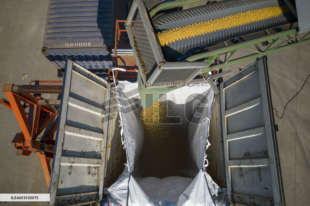 CHINA-HEILONGJIANG-SUIHUA-SOYBEAN-HARVEST (CN)