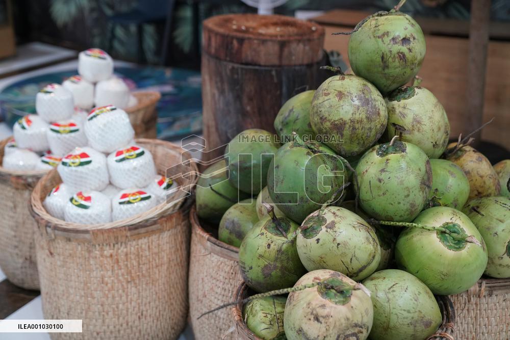 CHINA-GUANGXI-NANNING-COCONUTS (CN)
