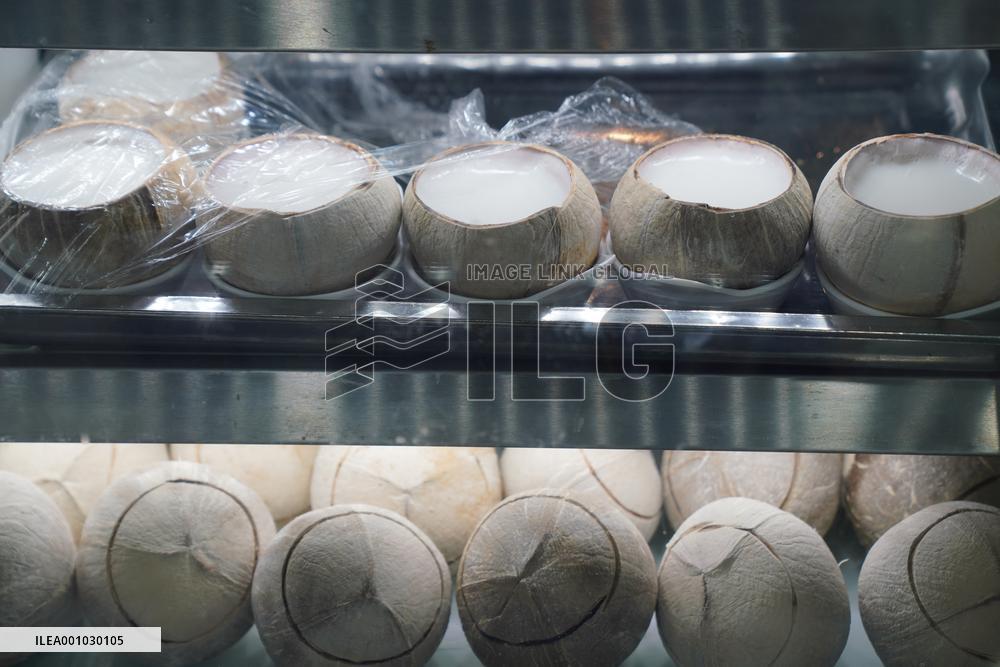 CHINA-GUANGXI-NANNING-COCONUTS (CN)